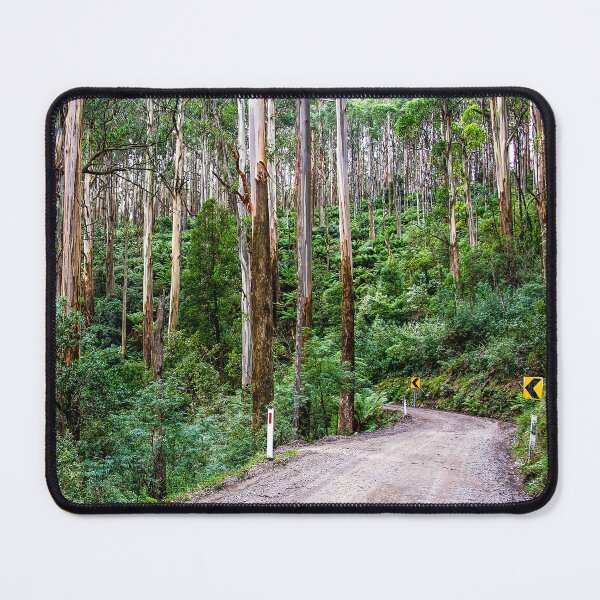 Item preview, Black Spur Drive, Maroondah Hwy, Fernshaw | Victoria, Australia - Mountain Ash Forest Road Art designed and sold by Ross.A.Campbell.
