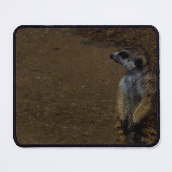 Item preview, Meerkat designed and sold by 27Rose Photo.