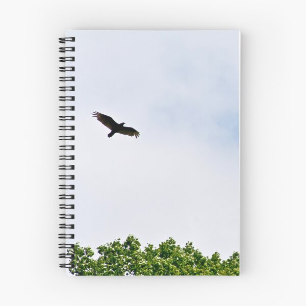 Item preview, Soaring Bird designed and sold by 27Rose Photo.