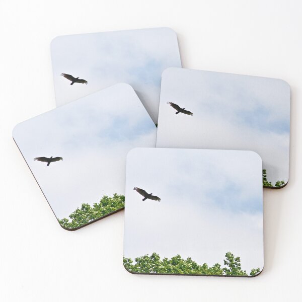 Item preview, Soaring Bird designed and sold by 27Rose Photo.