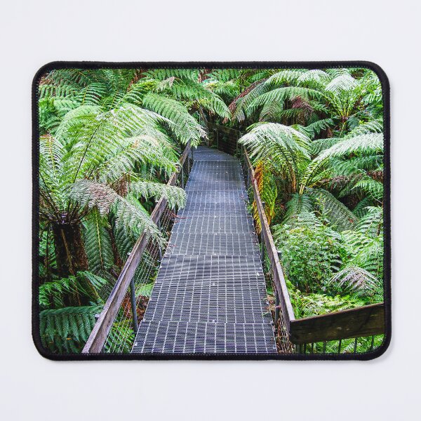 Item preview, Rainforest Gallery Skywalk, Warburton | Victoria, Australia - Cool Temperate Forest Canopy Art designed and sold by Ross.A.Campbell.