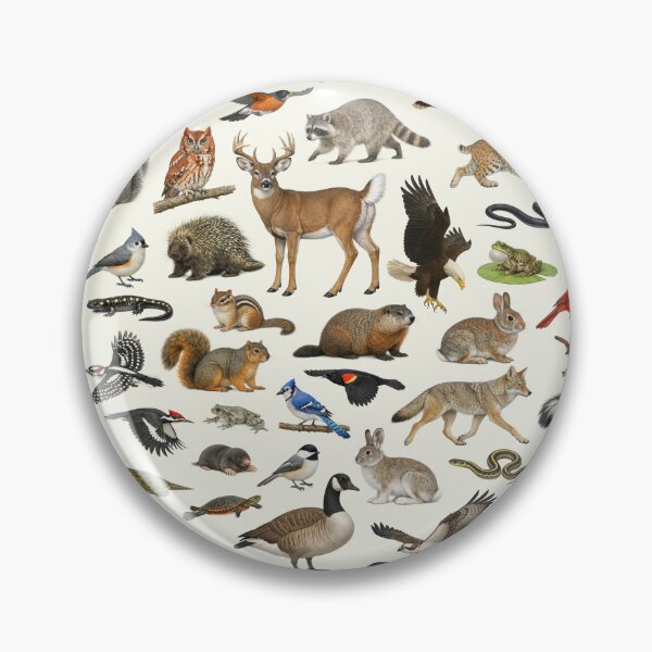 Item preview, Animals of Pennsylvania Retro Style Identification Chart designed and sold by kakarikihill.