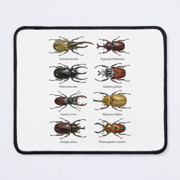 Item preview, Giant Beetle Species designed and sold by ArunDandiboina.