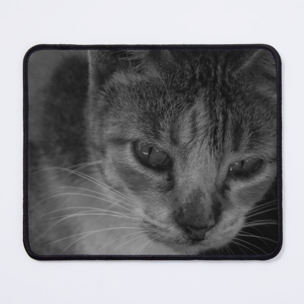 Item preview, B&W - Cool Looking Cat designed and sold by ROSE ANN BANILAR.