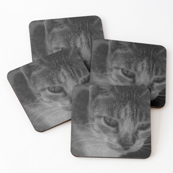 Item preview, B&W - Cool Looking Cat designed and sold by ROSE ANN BANILAR.