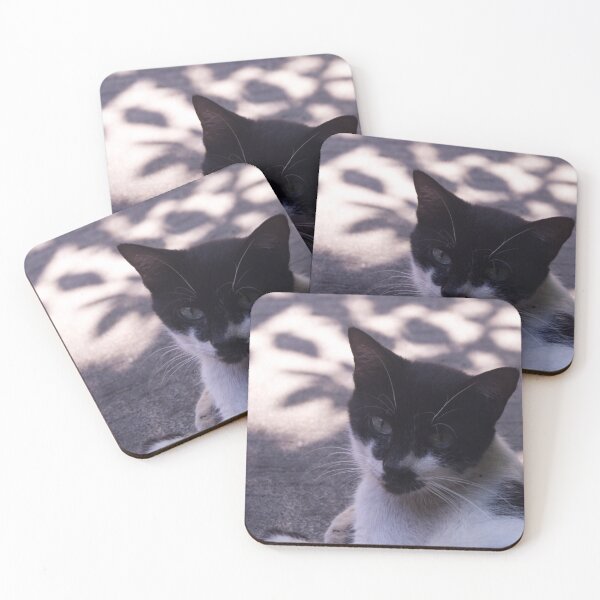Item preview, Black and White Furry Cat designed and sold by ROSE ANN BANILAR.