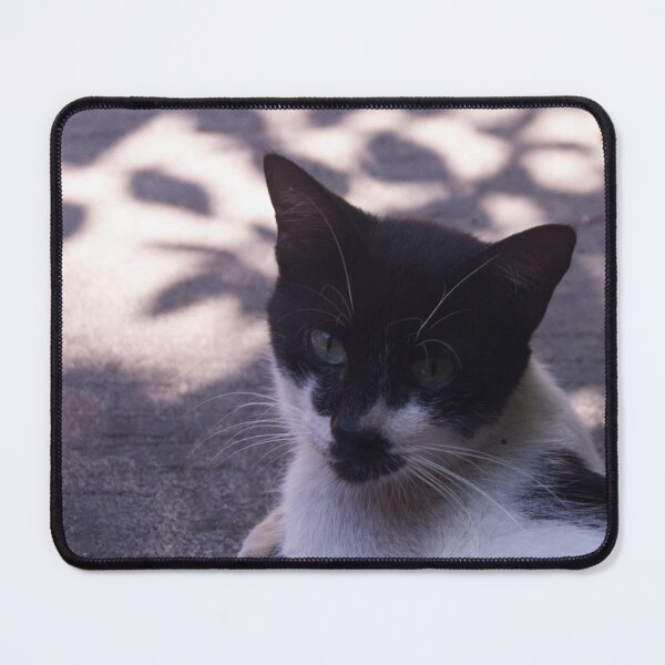 Item preview, Black and White Furry Cat designed and sold by ROSE ANN BANILAR.