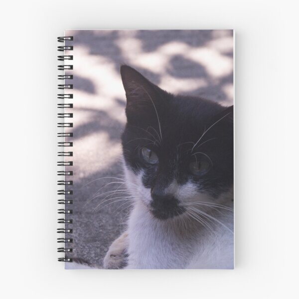 Item preview, Black and White Furry Cat designed and sold by ROSE ANN BANILAR.