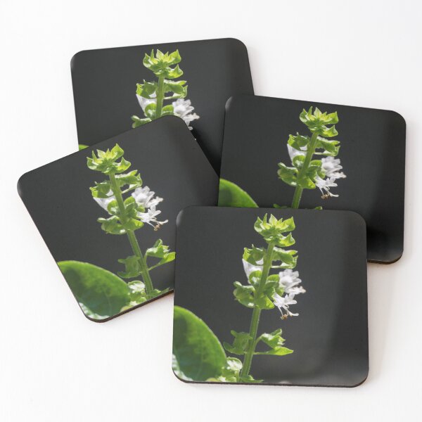 Item preview, Basil Flowers designed and sold by ROSE ANN BANILAR.