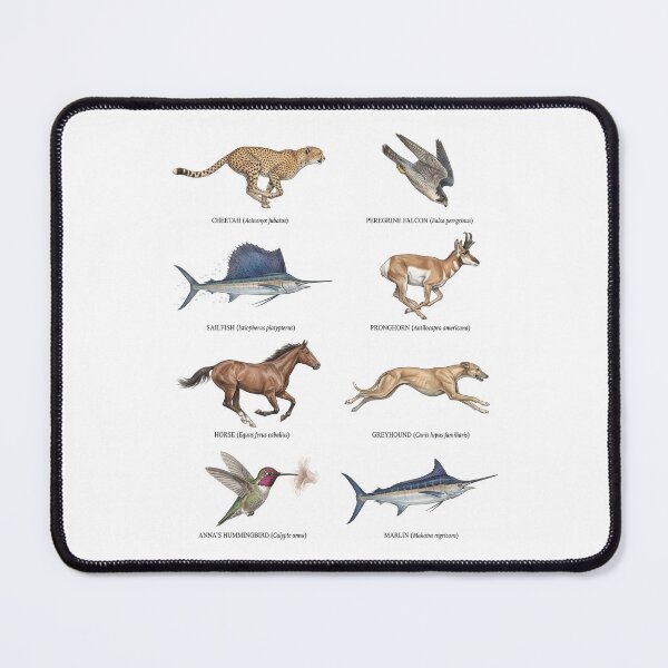 Item preview,  Fastest Animals designed and sold by ArunDandiboina.