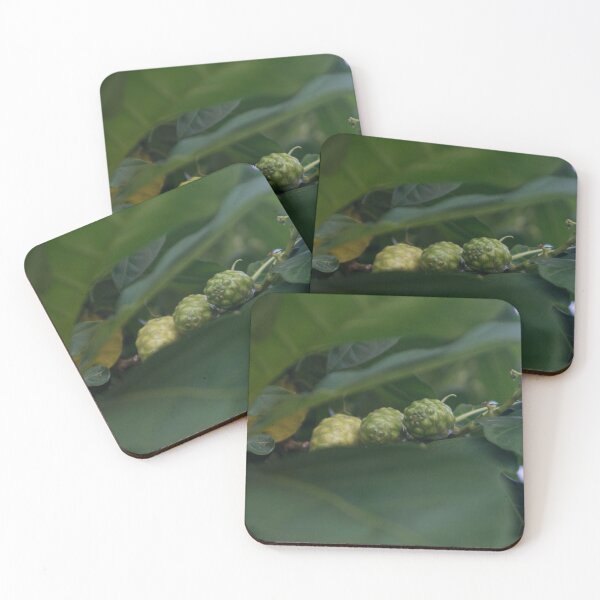 Item preview, Noni tree designed and sold by ROSE ANN BANILAR.