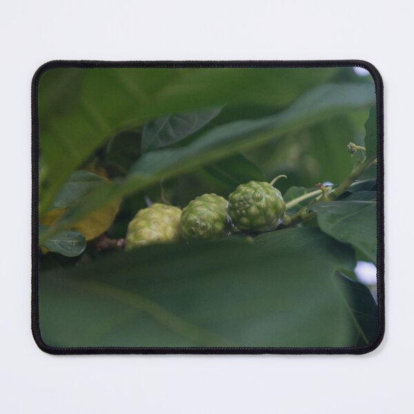 Item preview, Noni tree designed and sold by ROSE ANN BANILAR.