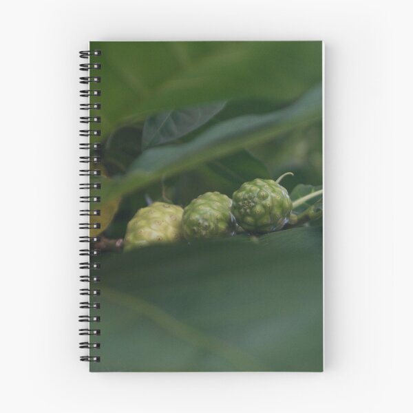 Item preview, Noni tree designed and sold by ROSE ANN BANILAR.