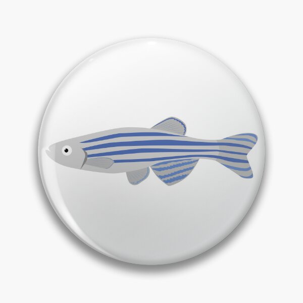 Item preview, Zebrafish- Danio designed and sold by Krishna Art.
