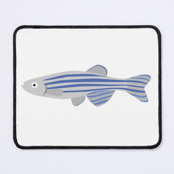 Item preview, Zebrafish- Danio designed and sold by Krishna Art.
