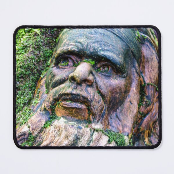 Item preview, William Ricketts Sanctuary, Mount Dandenong | Victoria, Australia - Mystical Forest designed and sold by Ross.A.Campbell.