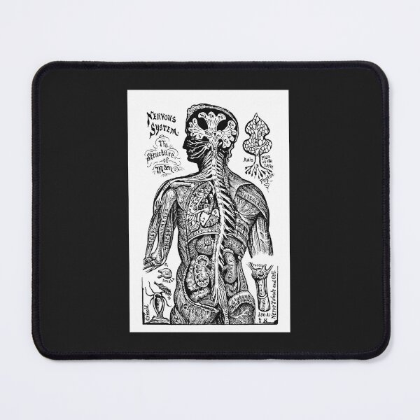 Item preview, Nervous System  designed and sold by hec60504.