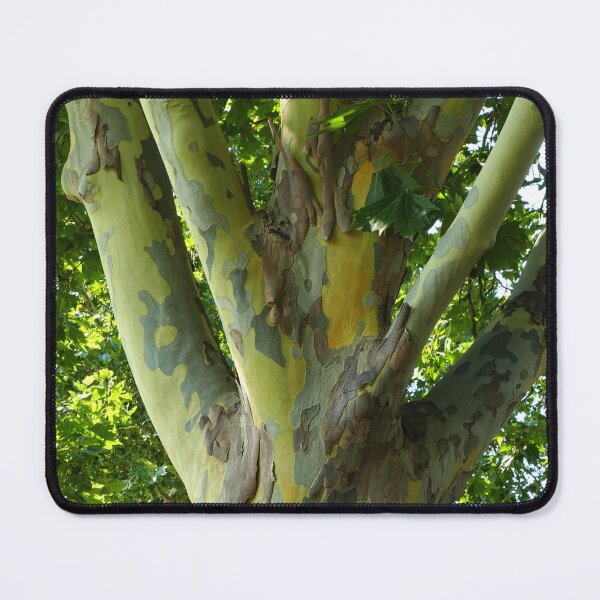 Item preview, Camouflage pattern in the tree bark closeup designed and sold by jaynerushton.