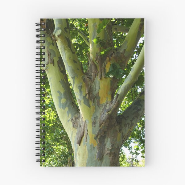 Item preview, Camouflage pattern in the tree bark closeup designed and sold by jaynerushton.