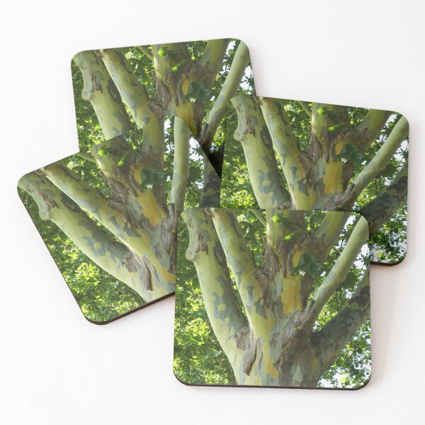 Item preview, Camouflage pattern in the tree bark closeup designed and sold by jaynerushton.