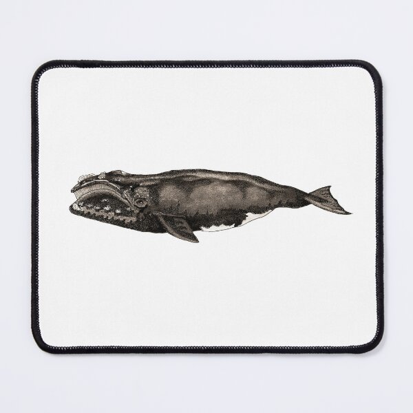 Item preview, Northern Right Whale designed and sold by ArtFromLucy.