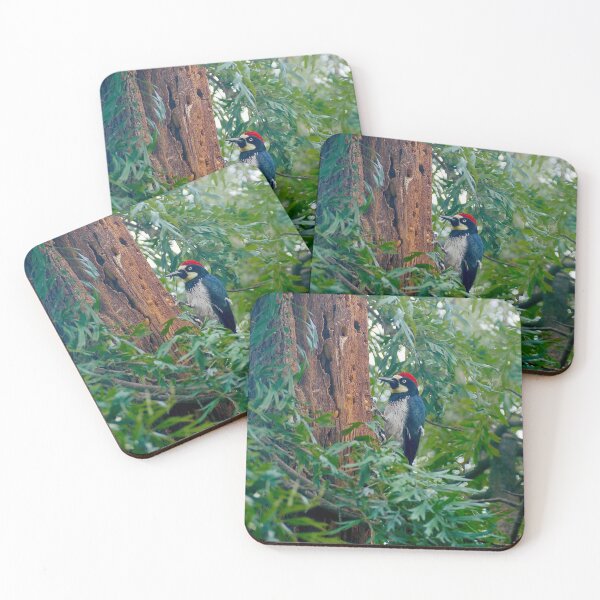 Item preview, Acorn Woodpecker on Tree Bark  designed and sold by sky earth human.