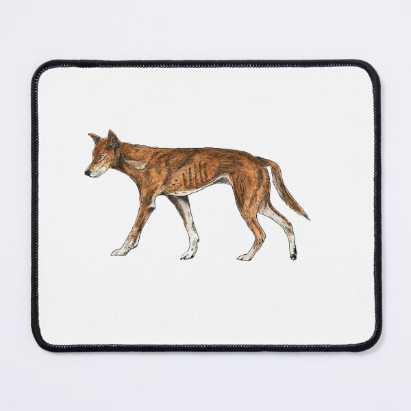 Item preview, Dingo designed and sold by ArtFromLucy.