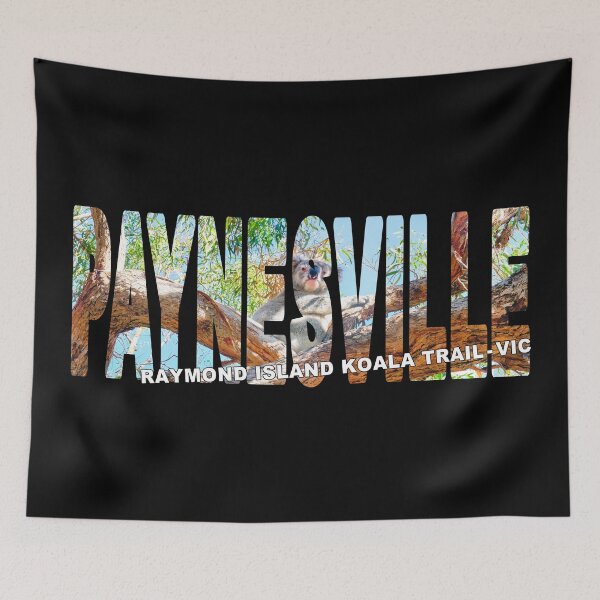 Item preview, PAYNESVILLE Raymond Island Koala Trail VIC - Gippsland Lakes Sunny designed and sold by Adam Gormley.