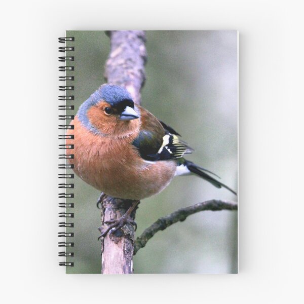 Item preview, chaffinch designed and sold by KathleenDawson.