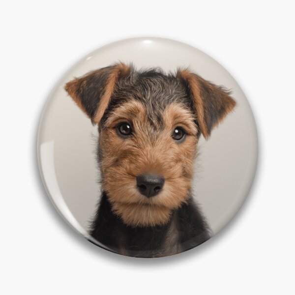 Item preview, Adorable Welsh Terrier pup for Cute Welshie puppy lovers designed and sold by LazyOwlStore.