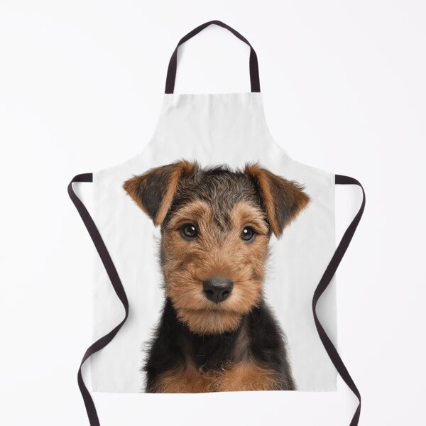 Item preview, Adorable Welsh Terrier pup for Cute Welshie puppy lovers designed and sold by LazyOwlStore.