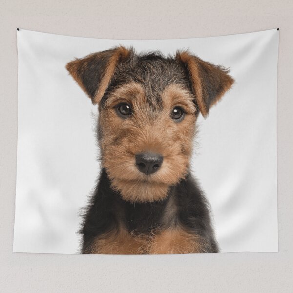Item preview, Adorable Welsh Terrier pup for Cute Welshie puppy lovers designed and sold by LazyOwlStore.