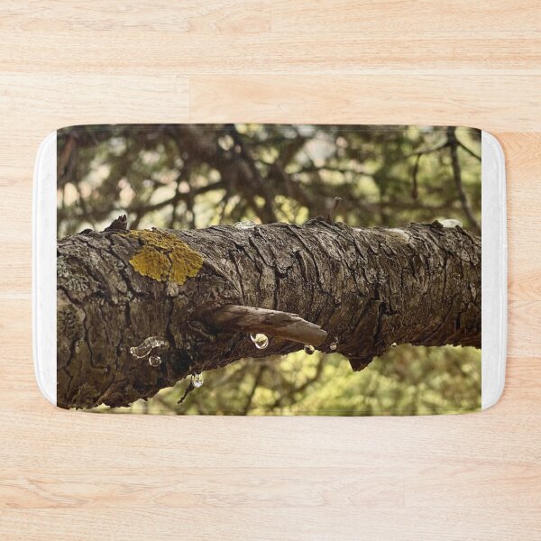 Item preview, Healing Cbc News Forest Tones designed and sold by Tonigard.