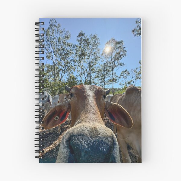 Item preview, Portrait of a brahman cow designed and sold by Penny Kittel.