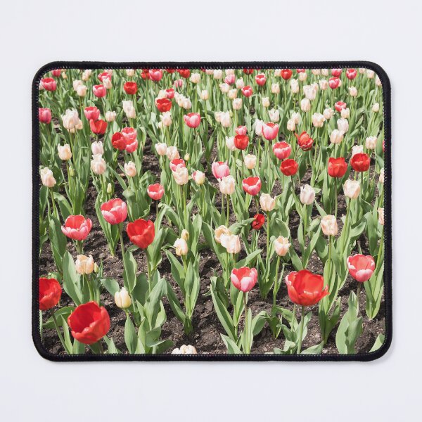 Item preview, Colorful Tulip Field in Bloom designed and sold by Georgia Mizuleva.
