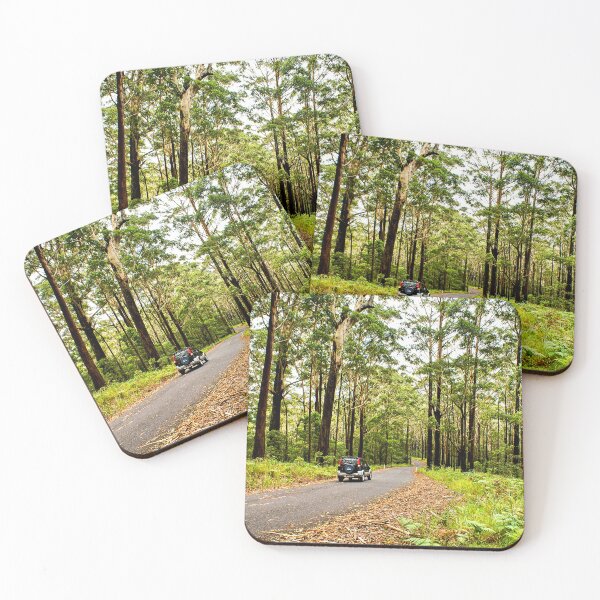Item preview, North Brother National Park - Mountain Bush Scene, Dooragan | Mid North Coast, NSW, Australia designed and sold by Ross.A.Campbell.