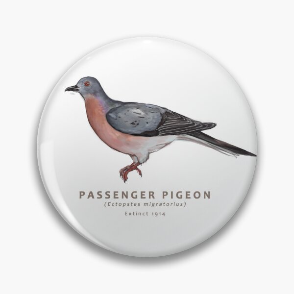 Item preview, Passenger Pigeon designed and sold by Haliaeetus.