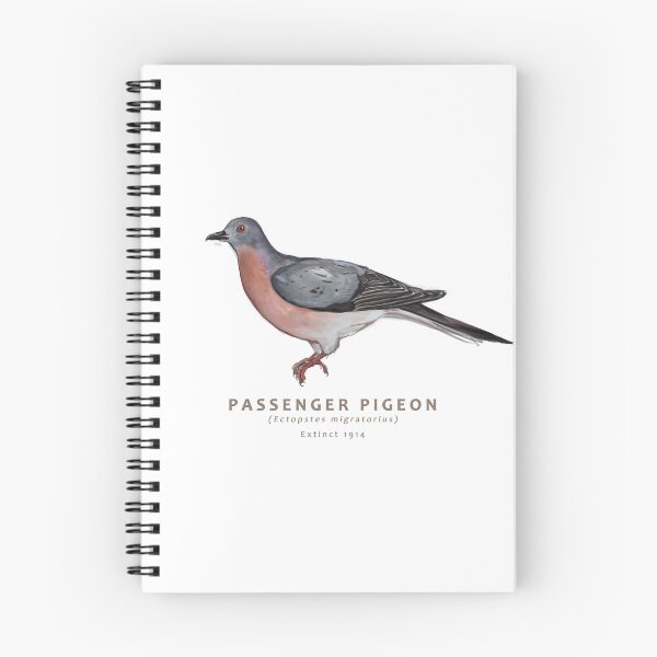 Item preview, Passenger Pigeon designed and sold by Haliaeetus.