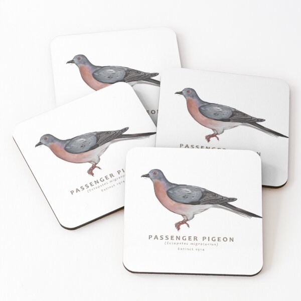 Item preview, Passenger Pigeon designed and sold by Haliaeetus.