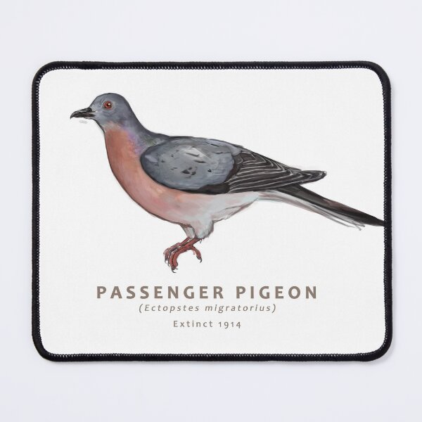Item preview, Passenger Pigeon designed and sold by Haliaeetus.
