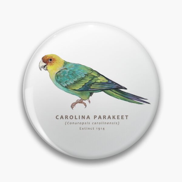 Item preview, Carolina Parakeet designed and sold by Haliaeetus.
