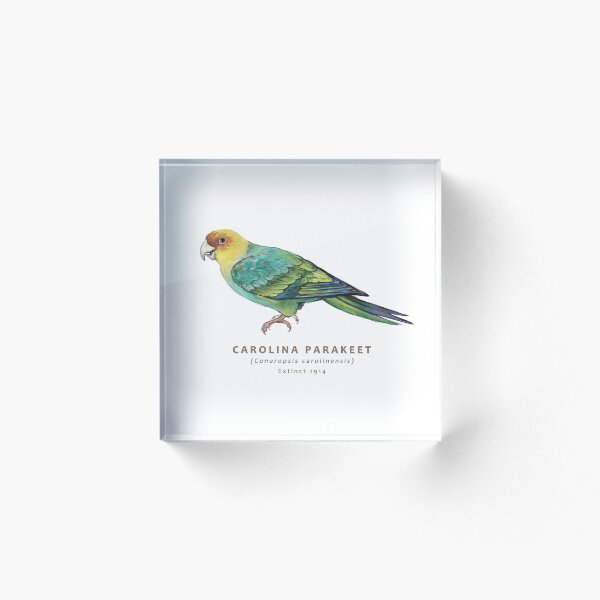 Item preview, Carolina Parakeet designed and sold by Haliaeetus.