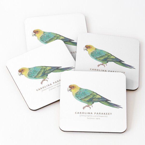 Item preview, Carolina Parakeet designed and sold by Haliaeetus.