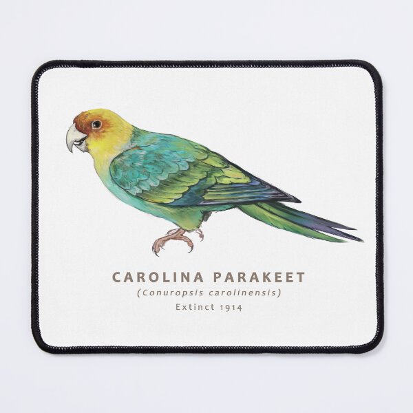 Item preview, Carolina Parakeet designed and sold by Haliaeetus.