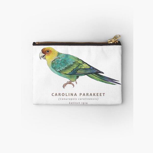 Item preview, Carolina Parakeet designed and sold by Haliaeetus.