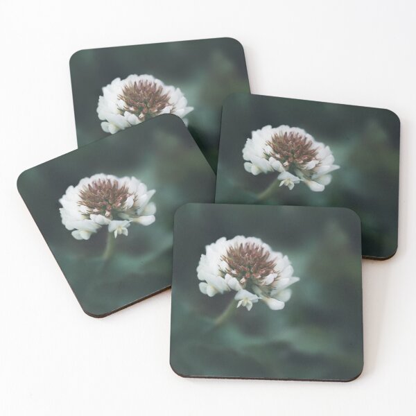 Item preview, White blooming clover flower on dark green background designed and sold by TanalyFlowers.
