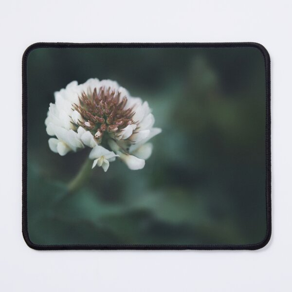 Item preview, White blooming clover flower on dark green background designed and sold by TanalyFlowers.