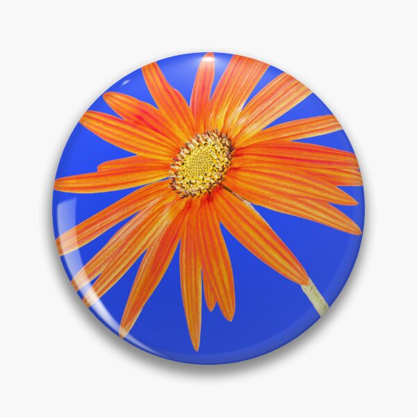 Item preview, Arctotis Blue designed and sold by Chris Eggleton PhotoArt.