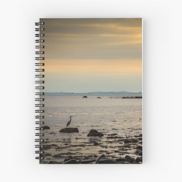 Item preview, Heron on the Beach at Sunset designed and sold by heidipics.