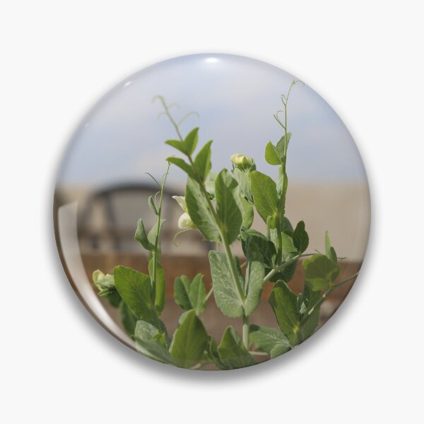 Item preview, Pea Plant Flower Growth in Natural Light designed and sold by diabshoots.